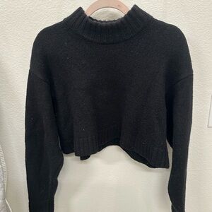 Aritzia Wilfred Sweater